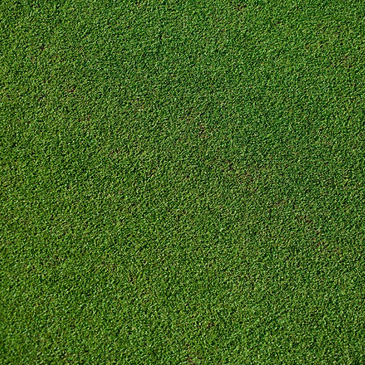 texture-04